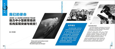 廣告策劃 教育行業(yè)類畫(huà)冊(cè)